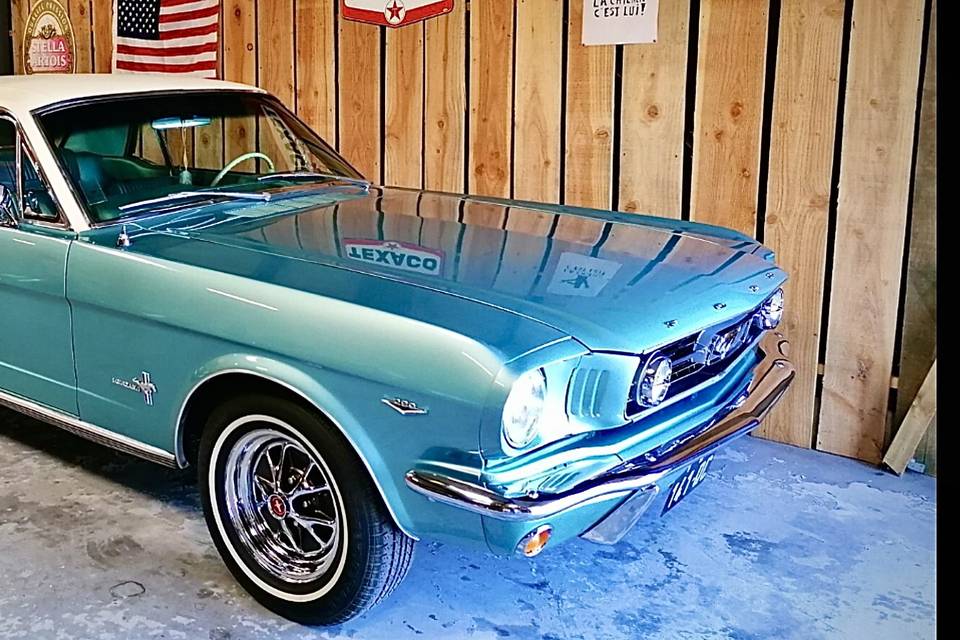 Mustang