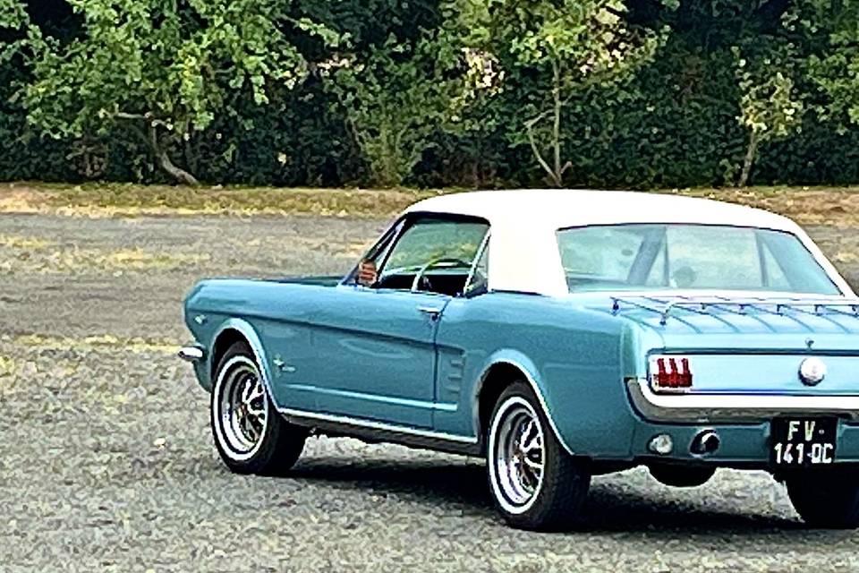Loc Mustang