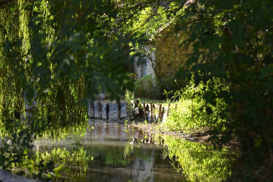 Mise en beauté de l'orangerie