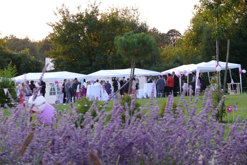 Vin d'honneur en plein air