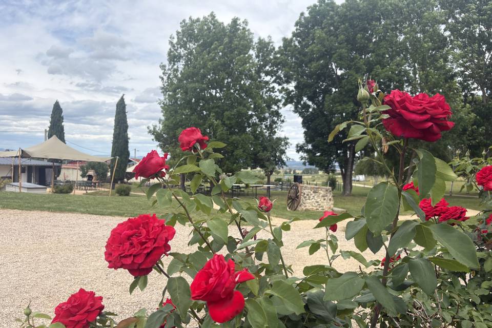 Parc
