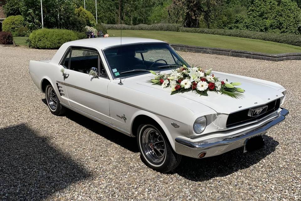 Mustang 1966