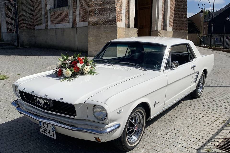 Mustang 1966