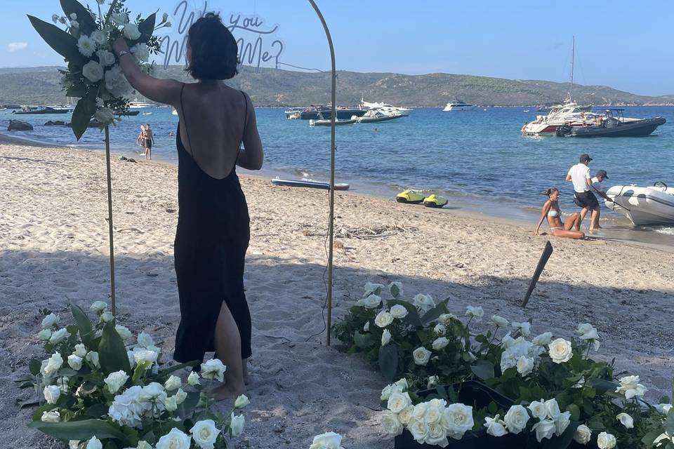 Demande en mariage à la plage