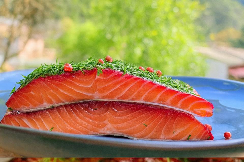 Gravlax de saumon