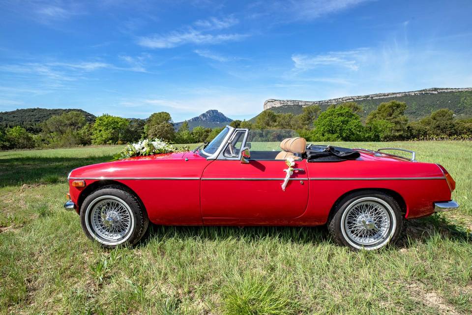 MGB Profil