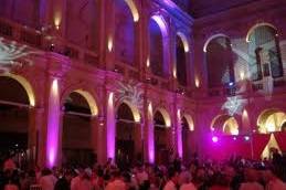Par LED rose