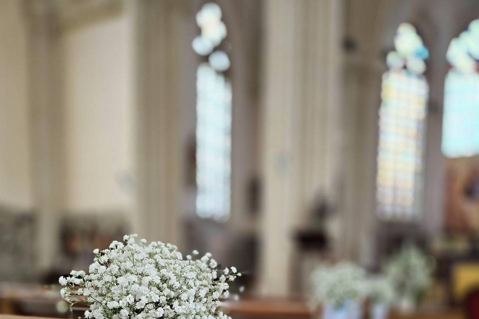 Gypsophile