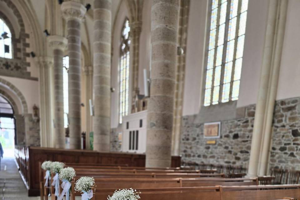 Gypsophile