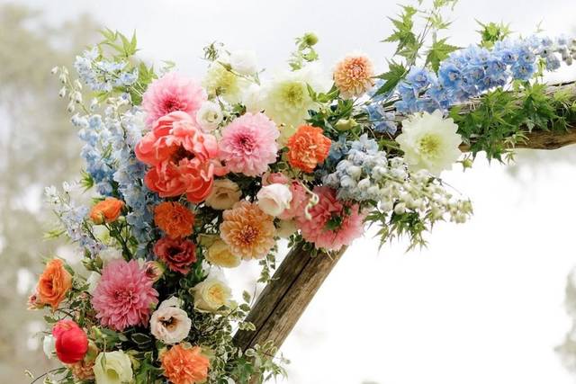 Il Etait Une Fleur