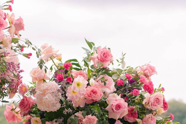 Il Etait Une Fleur