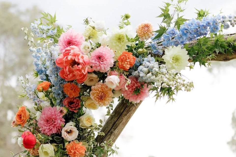 Il Etait Une Fleur
