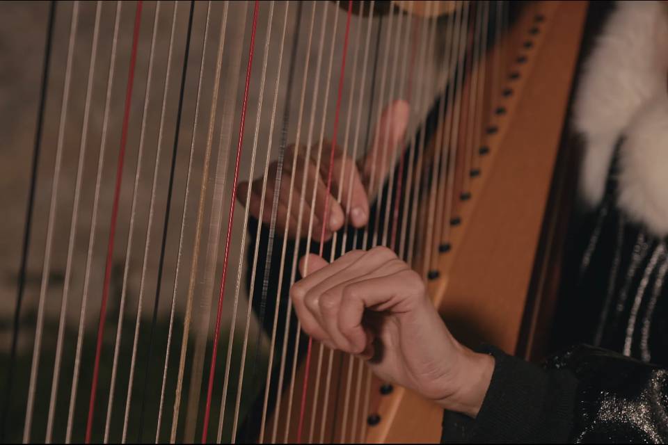 Saint Jacques Records