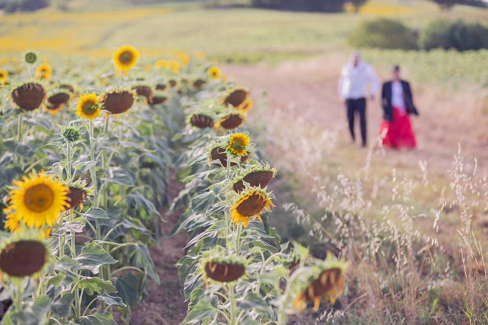 Céline Sahn Photography