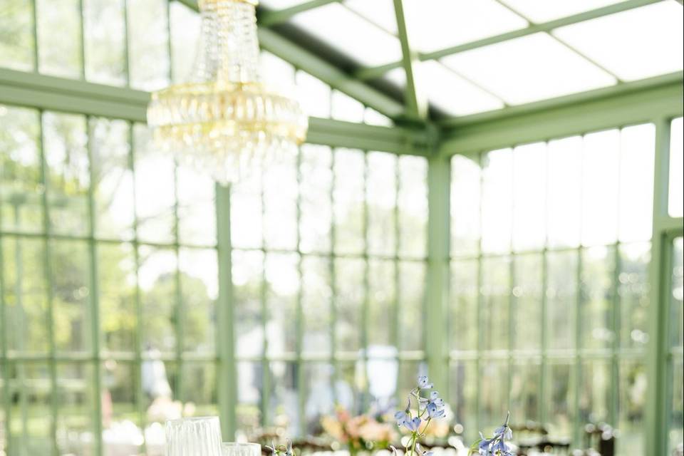 Ambiance jardin d'été
