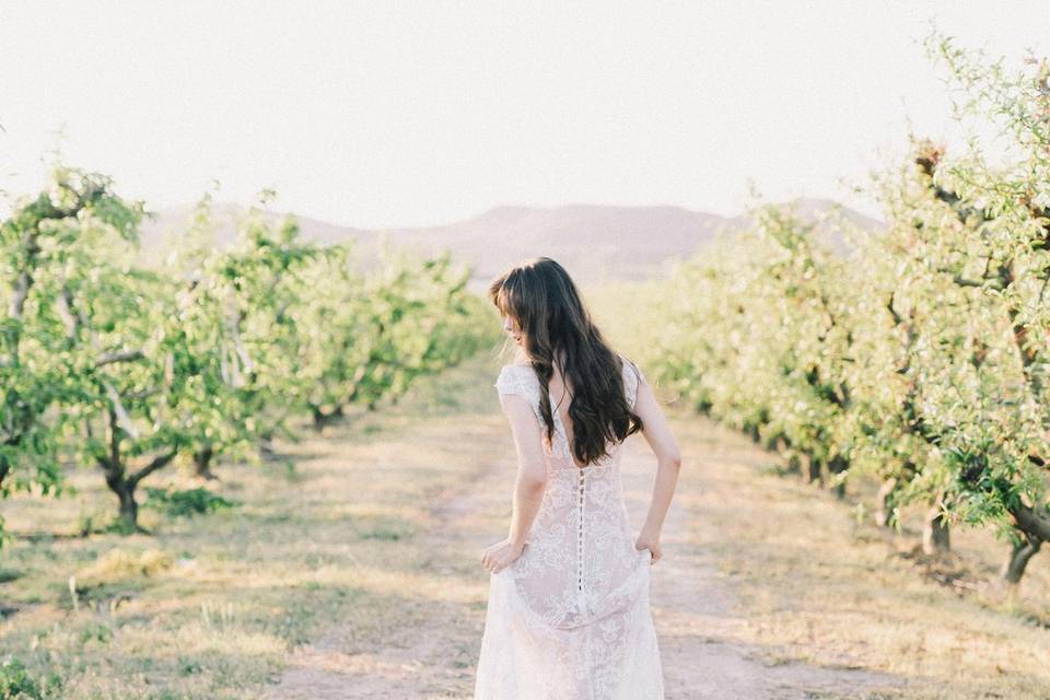 Romance parmi les vignes