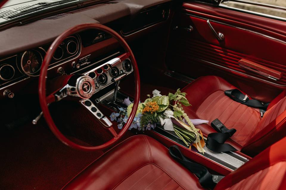 Mariage Mustang @Bouchemont