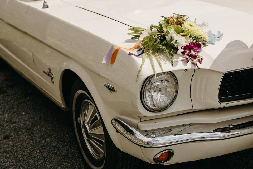 Mariage Mustang @Bouchemont