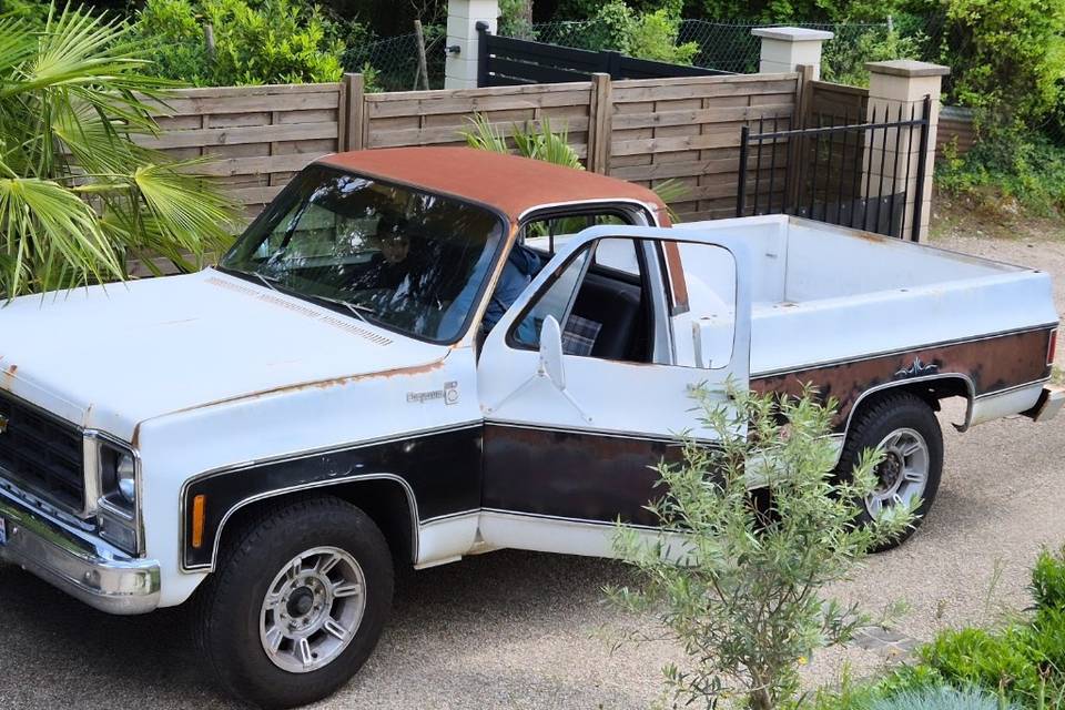 Chevy Pick-up C20 1979