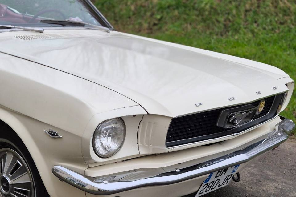 Mustang V8 1966 289ci