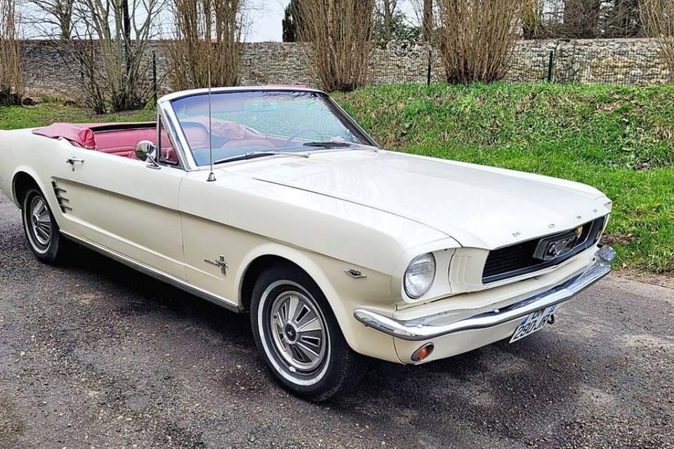 Mustang V8 1966 289ci