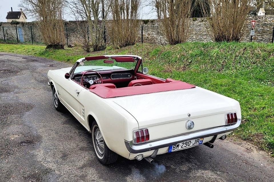 Mustang cabriolet blanc rouge