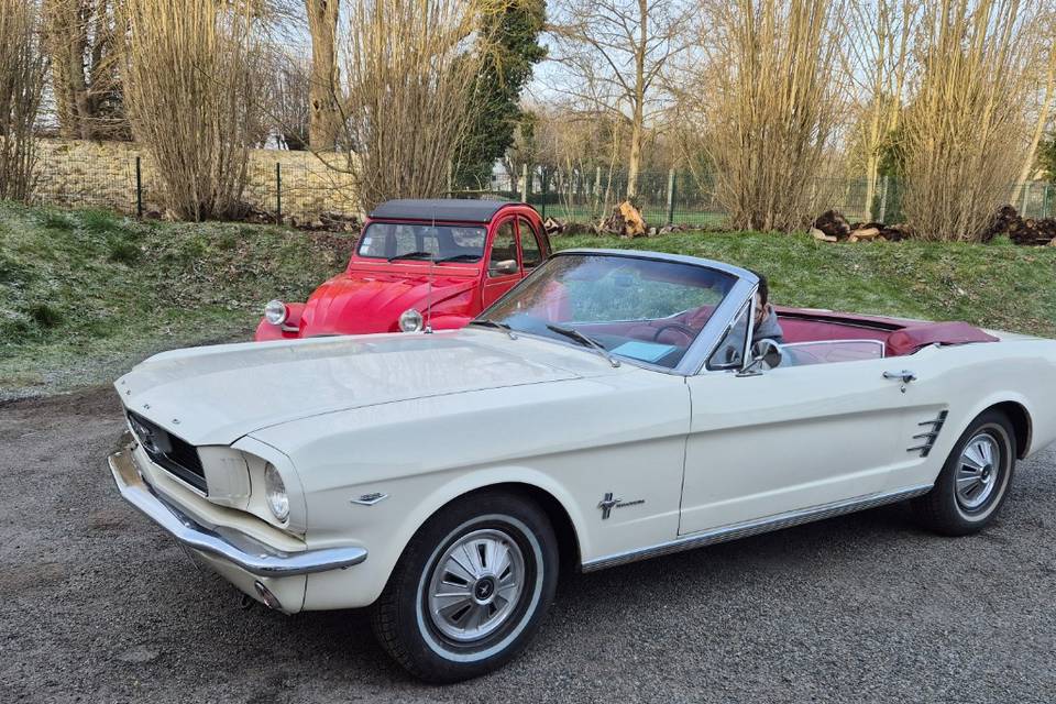 Mustang 289ci blanche