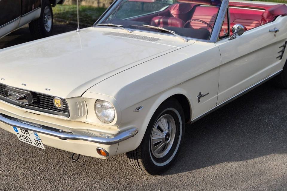 Mustang Vallée on the Road