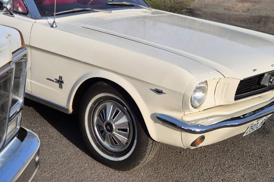 Mustang blanche 1966 île de Fr