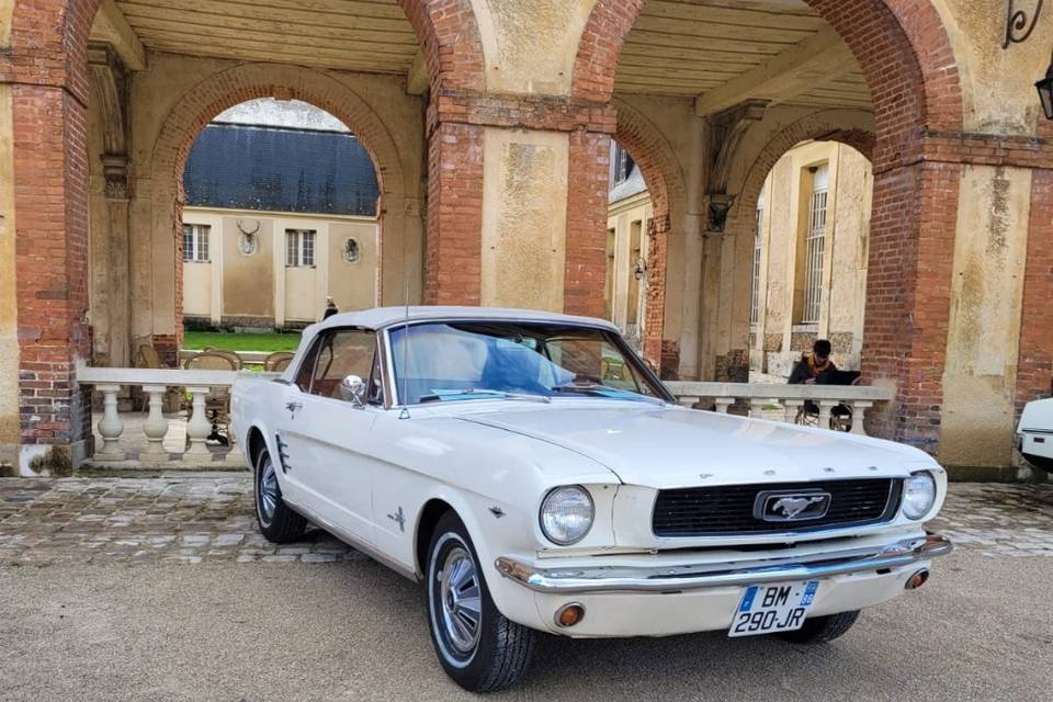 Mustang cab 1966 château dampi
