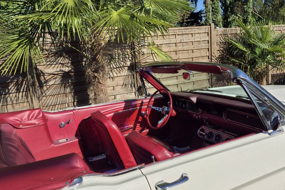 Mustang cab 66 versailles