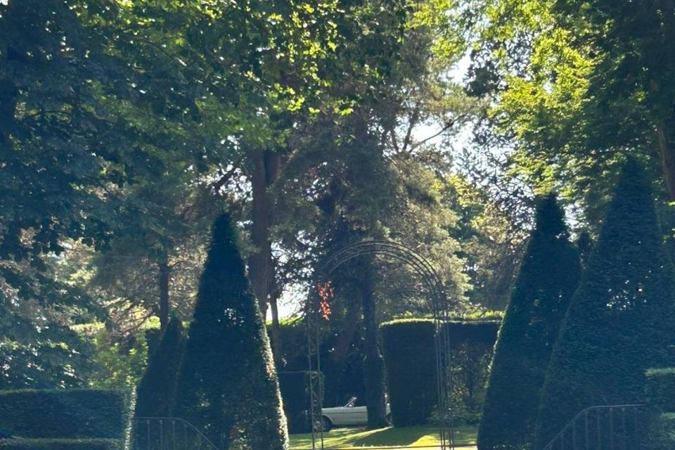 Mustang blanche mariage idf