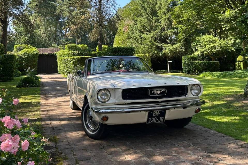 Mustang blanche mariage idf
