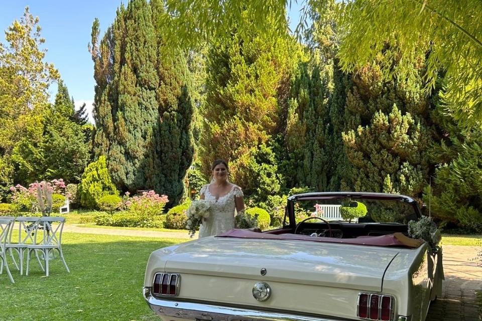 Mustang blanche mariage idf