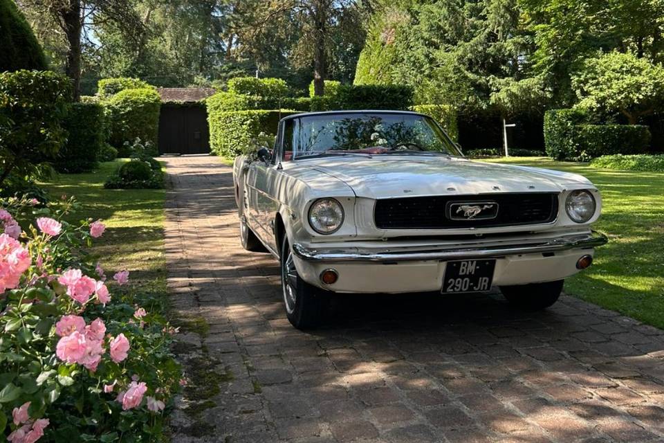 Mustang blanche mariage idf