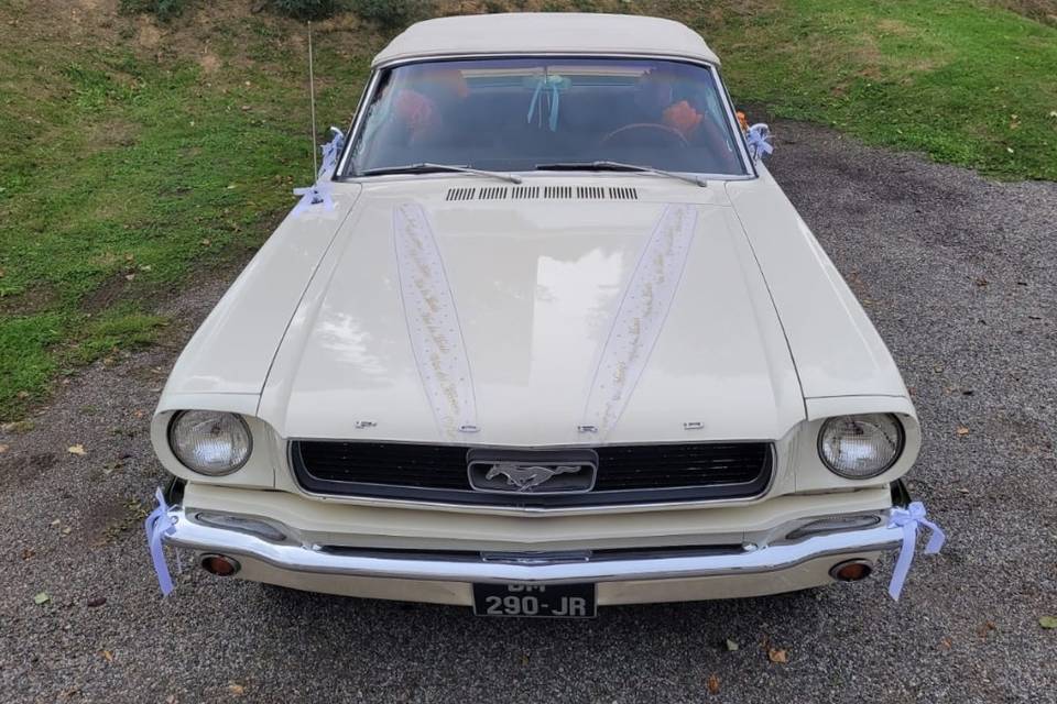 Mustang 66 chevreuse