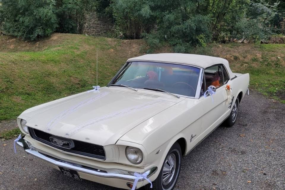 Mustang vallée de chevreuse