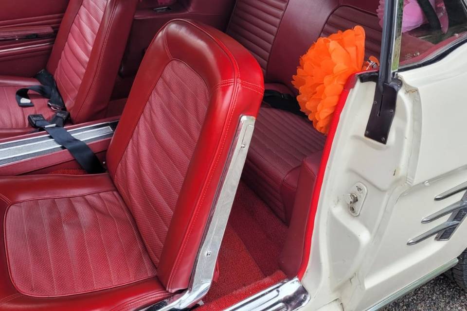 Mustang cab decoree