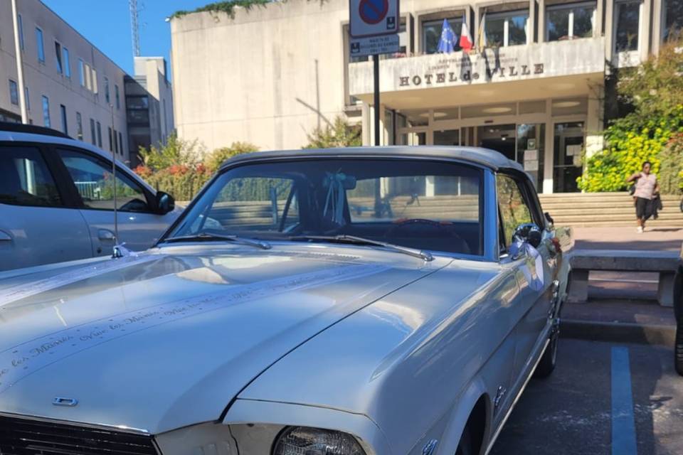 Mustang blanche chatenay malab