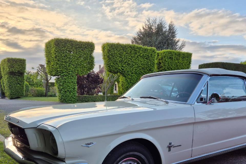 Mustang mariage relais de poye