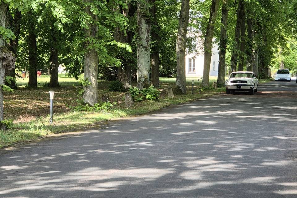Mustang domaine mariage