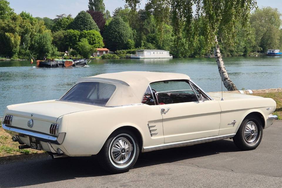 Mustang bord de seine
