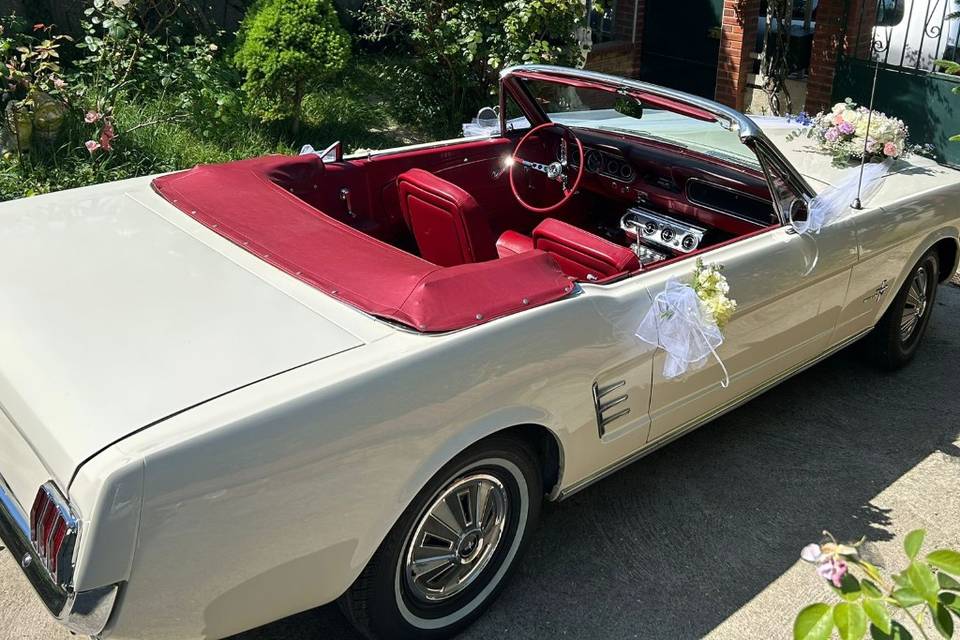 Mustang décoration