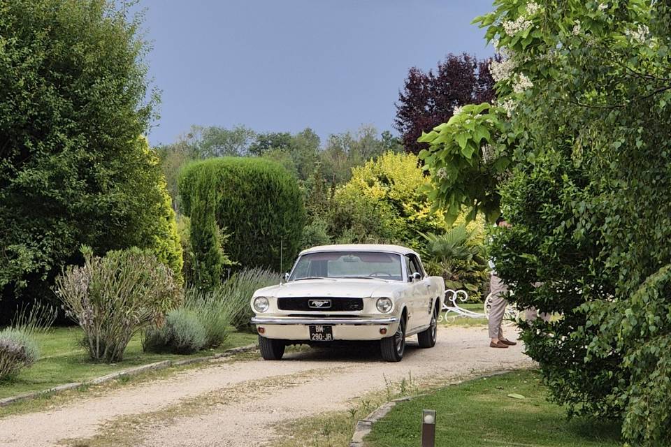 Mustang mariage coccinelles