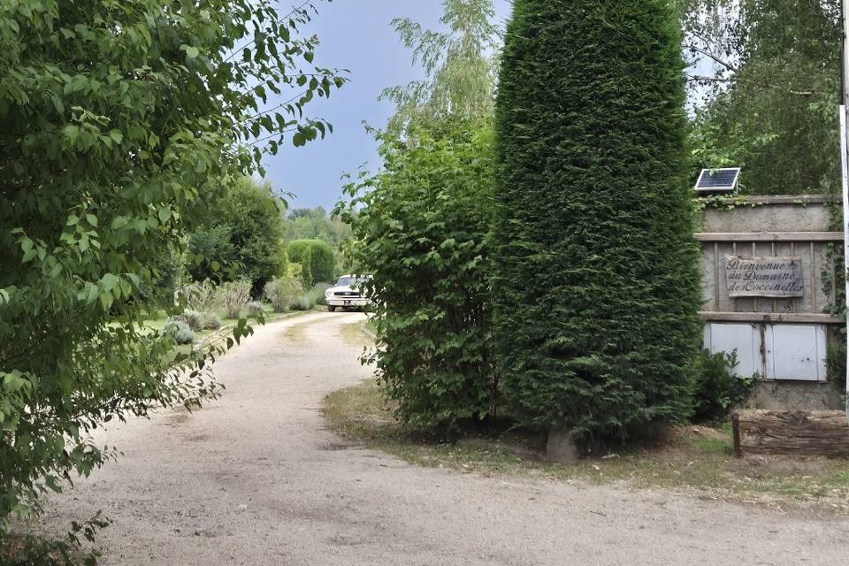 Mustang domaine des coccinelle