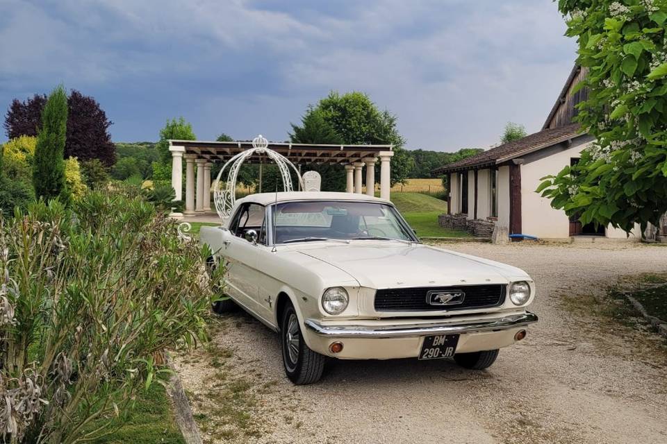 Mustang cabriolet blanche mari