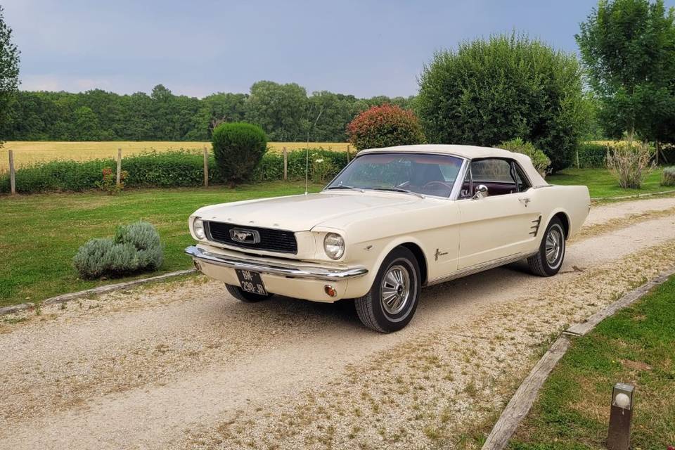 Mustang mariage essonne v8