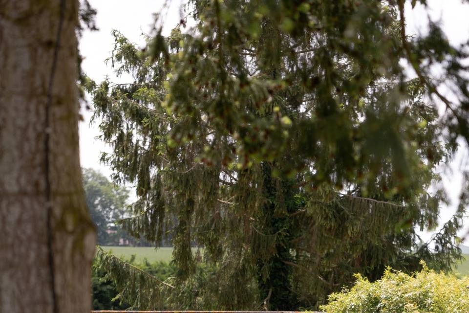 2cv sur domaine de mariage