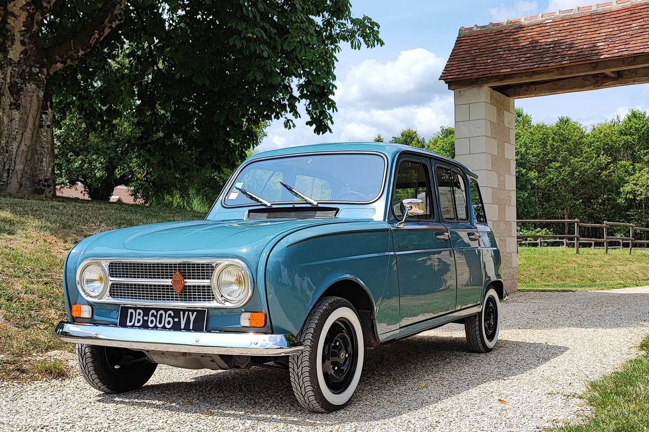 Lot 5 Fanions Savoie pour voiture