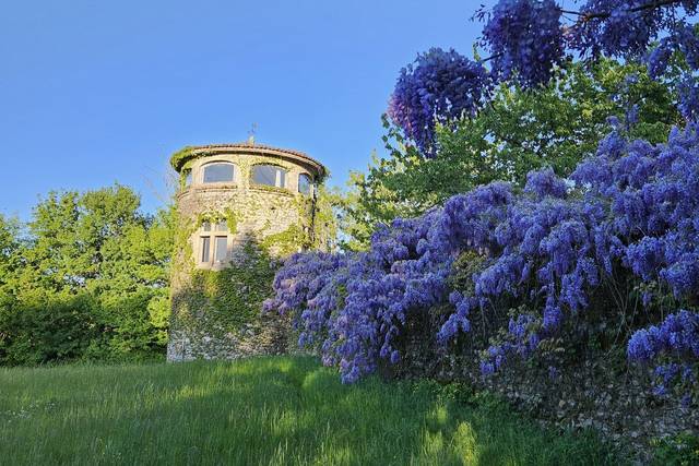 Glycine